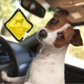 Vacanze a quattro zampe