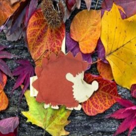 Ad ogni ambiente il suo Profumotto