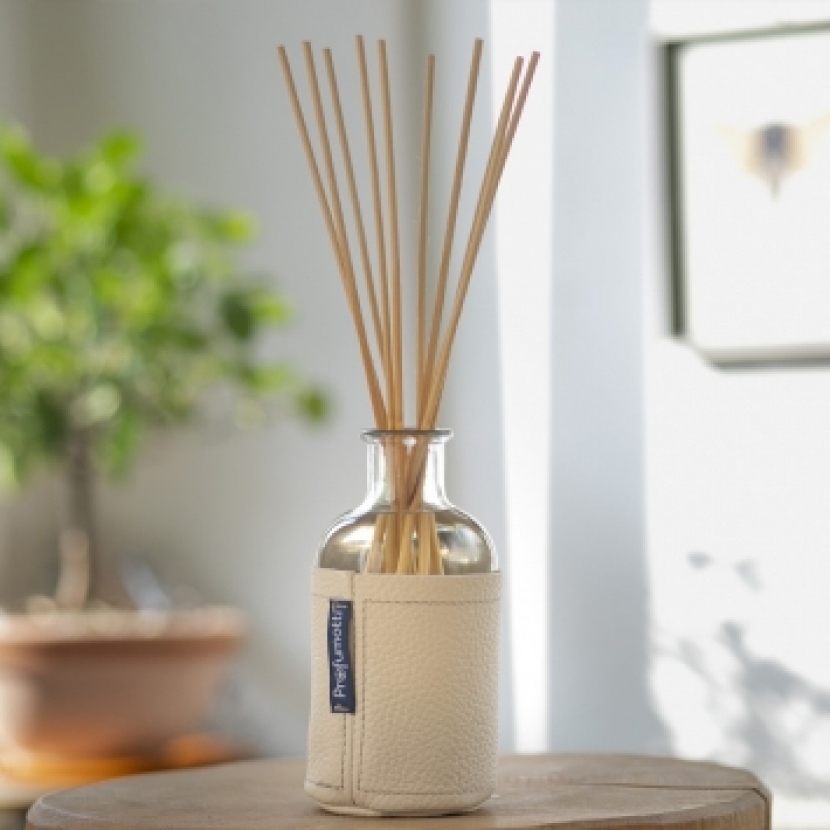 How to choose and use home diffusers