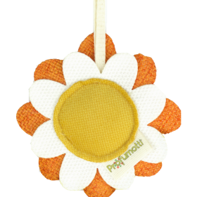 Daisy diffuser Orange & Blueberry