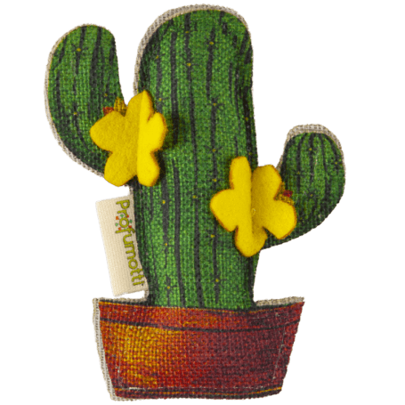 Profumatore Eco Cactus Cedro & Vaniglia
